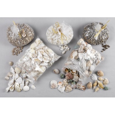 ΚΟΧΥΛΙΑ ΑΝΟΙΧΤΟΧΡΩΜΑ  ΔΙΑΦΟΡΑ ΣΧΕΔΙΑ & ΜΕΓΕΘΟΣ    1 ΚΙΛΟ 