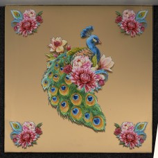 PLEXI GLASS