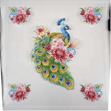 PLEXI GLASS