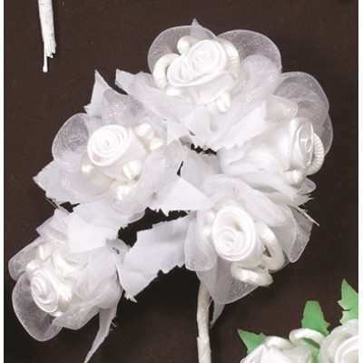 ΛΟΥΛΟΥΔΙΑ ΟΡΓΑΝΤΖΑ