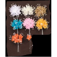 ΛΟΥΛΟΥΔΙΑ ΟΡΓΑΝΤΖΑ