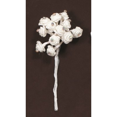 ΛΟΥΛΟΥΔΙΑ ΣΑΤΕΝ