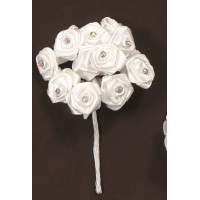 ΛΟΥΛΟΥΔΙΑ ΣΑΤΕΝ