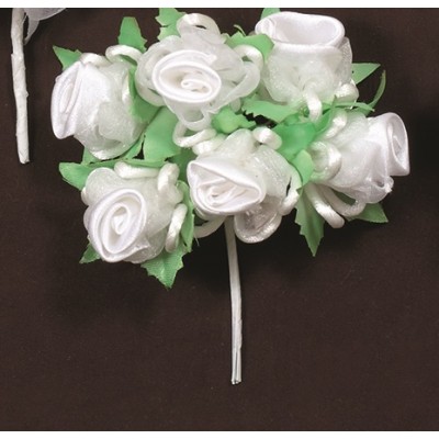 ΛΟΥΛΟΥΔΙΑ ΟΡΓΑΝΤΖΑ