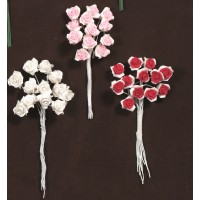 ΛΟΥΛΟΥΔΙΑ ΠΟΡΣΕΛΑΝΗ