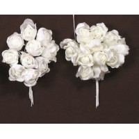 ΛΟΥΛΟΥΔΙΑ ΣΑΤΕΝ