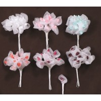 ΛΟΥΛΟΥΔΙΑ ΟΡΓΑΝΤΖΑ