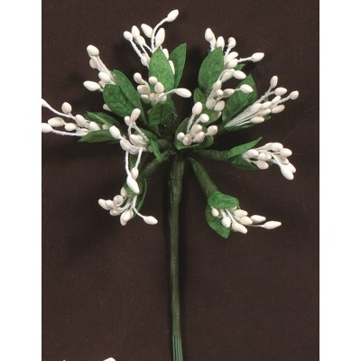 ΛΟΥΛΟΥΔΙΑ ΠΟΡΣΕΛΑΝΗ