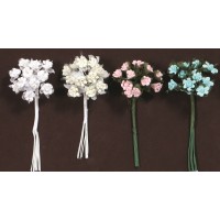 ΛΟΥΛΟΥΔΙΑ ΠΟΡΣΕΛΑΝΗ