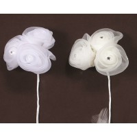 ΛΟΥΛΟΥΔΙΑ ΟΡΓΑΝΤΖΑ