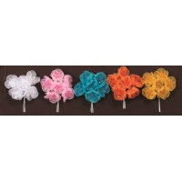 ΛΟΥΛΟΥΔΙΑ ΟΡΓΑΝΤΖΑ