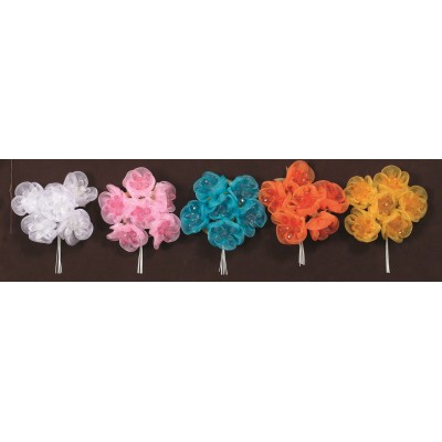 ΛΟΥΛΟΥΔΙΑ ΟΡΓΑΝΤΖΑ