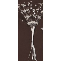 ΛΟΥΛΟΥΔΙΑ ΜΠΟΥΤΟΝΙΕΡΑ