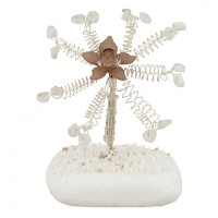 ΜΠΟΜΠΟΝΙΕΡΑ ΒΟΤΣΑΛΟ ΜΠΟΜΠΟΝΙΕΡΑ ΒΟΤΣΑΛΟ