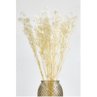 BABYBREATH ΛΕΥΚΟ
